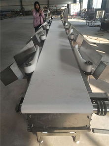 海產(chǎn)品重量分選機(jī)選購指南 直擊諸城和義機(jī)械與臺(tái)灣設(shè)備高清圖解